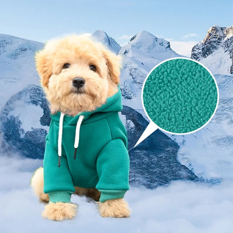 Green dog hoodie fabric