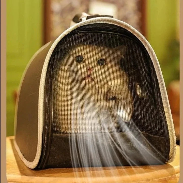 Clear Breathable Cat Bag
